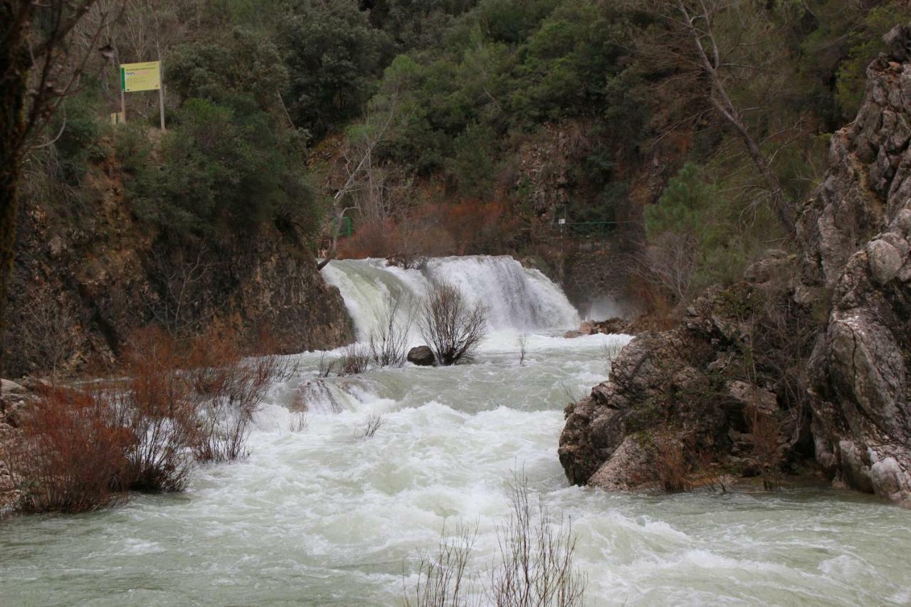 Alojamiento Aguasblanquillas Coto Rios Exterior photo