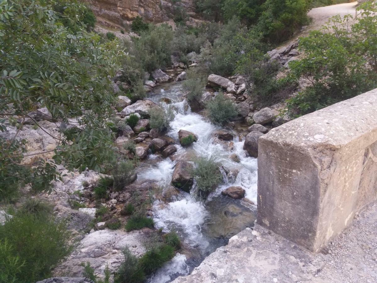 Alojamiento Aguasblanquillas Coto Rios Exterior photo