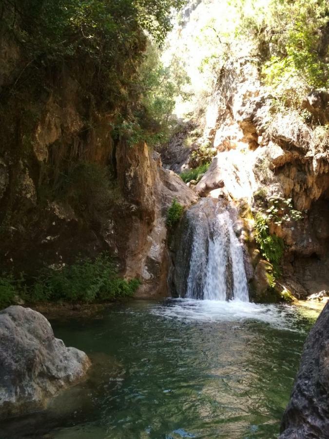 Alojamiento Aguasblanquillas Coto Rios Exterior photo